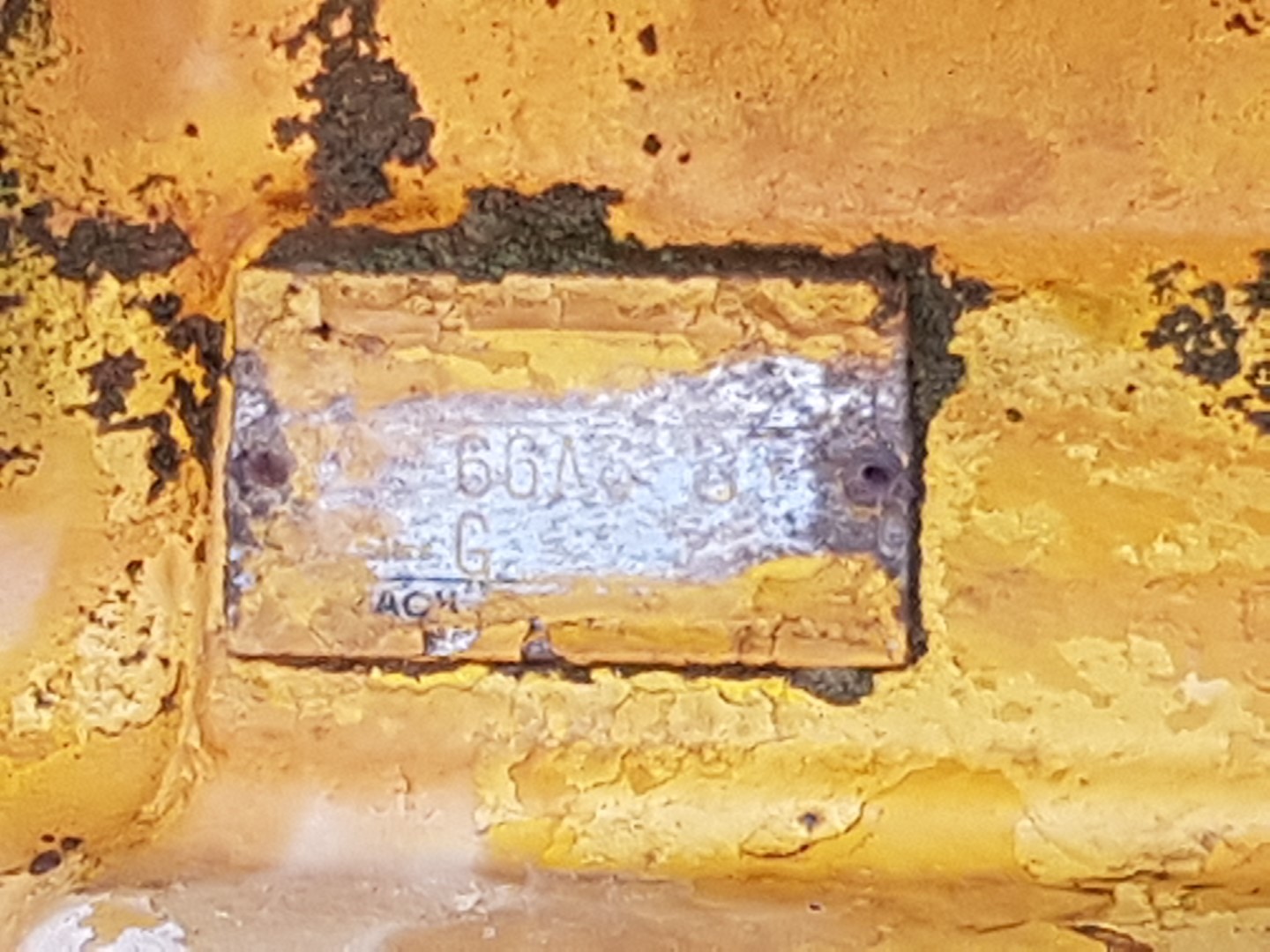 ZM008713_07.jpg